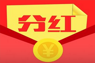 公司2016年度分红派息公告