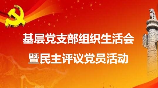 上药常药党委各支部召开组织生活会并开展党员民主评议活动